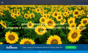 Сайт возможного мошенника pens-plus.nethouse.ru