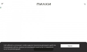 Сайт возможного мошенника pilkinail.ru